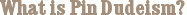 What is Pin Dudeism?