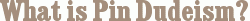 What is Pin Dudeism?