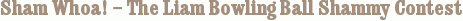 Sham Whoa! – The Liam Bowling Ball Shammy Contest