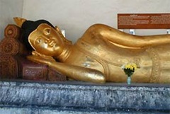 sleepingbuddha