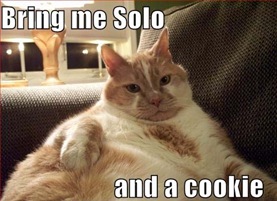 jabba the cat