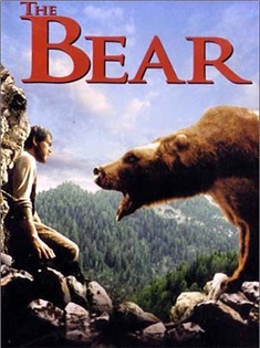 the bear