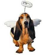 dog angel