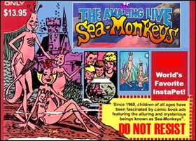 sea monkeys