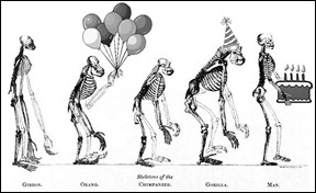 happy birthday darwin