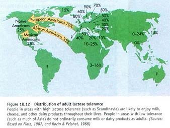 lactose-tolerance