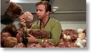 Tribbles – really eat the room together 