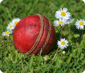 cricket ball