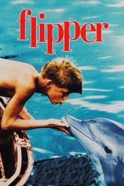 flipper_box