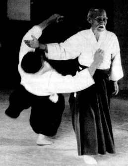 aikido_the_art_of_peace