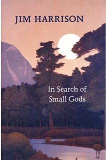 in search of small gods