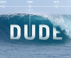 the history of dude