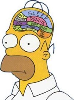 homersimpsonsbrain