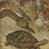 tortoise and hare