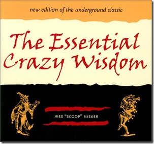 essential crazy wisdom