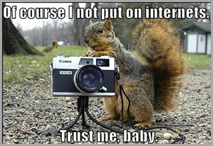 funny-pictures-creepy-squirrel-camera-park