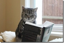 Cat-Reading-Book-300x200