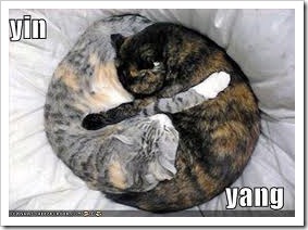 yinyang