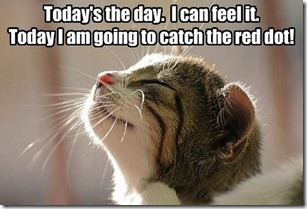 funny-pictures-think-positive-lil-kitteh1