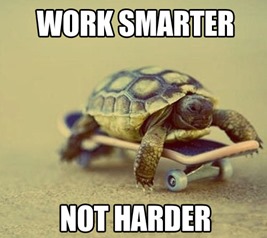 funny-skate-work-smarter