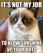 grumpy cat